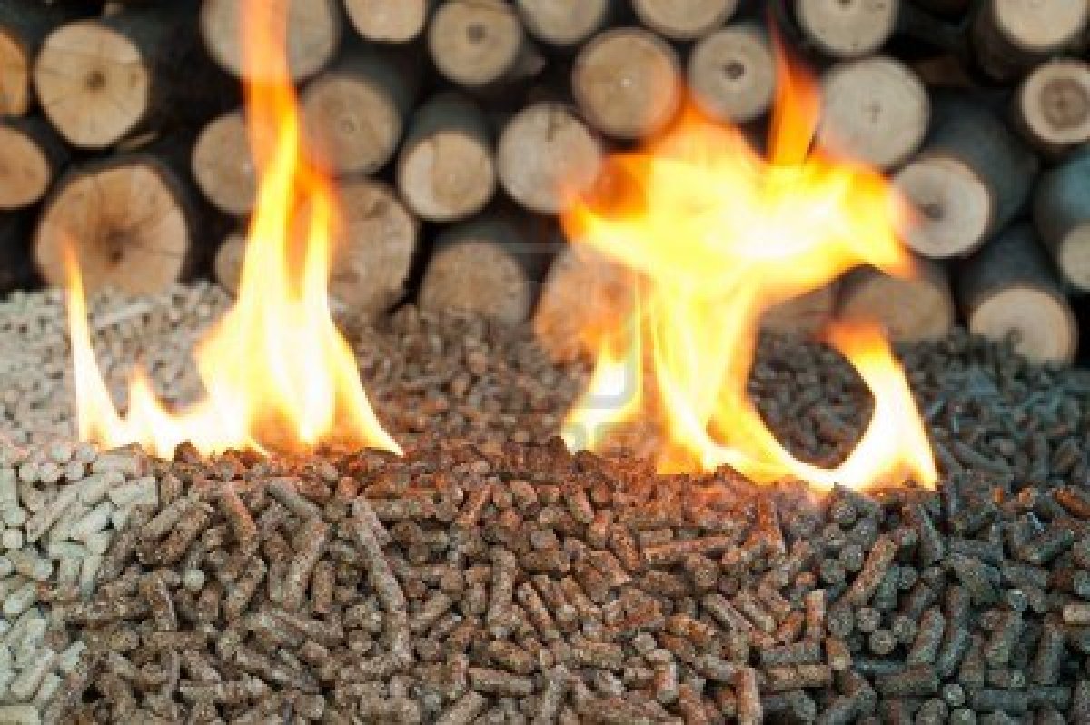 Pellets---Briquettes---Charcoal--Wood-pellets